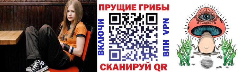 магазин продажи наркотиков  Спасск-Рязанский  Псилоцибиновые грибы мухоморы 